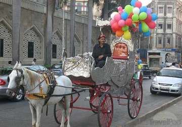 bombay high court bans horse drawn carriages calling them illegal