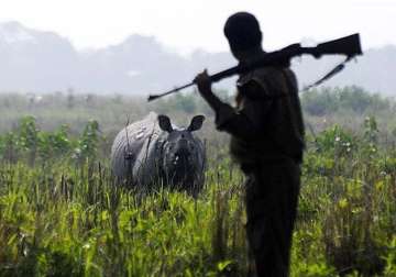 three poachers killed in encounter in kaziranga park