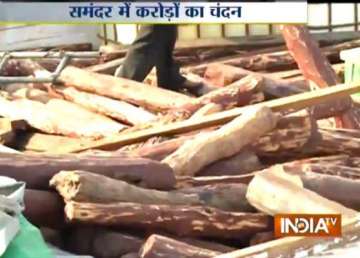red sanders worth rs 9 crore seized off mumbai coast