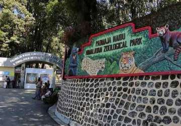 darjeeling zoo selected for prestigious award