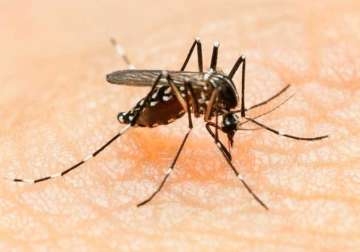 health ministry gears up against zika virus forms technical group to monitor situation
