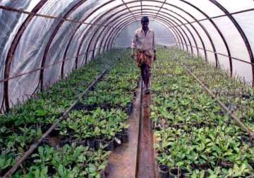 what is the future of farming in india