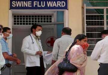 swine flu outbreak kills 60 in india this month