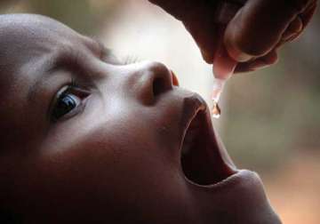 24 lakh children below 5 years given polio drops in haryana