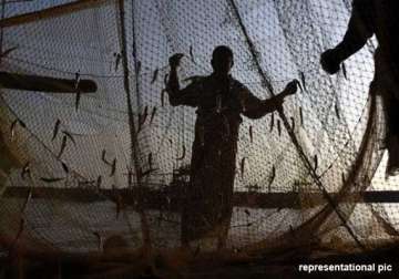 lankan navy arrests 14 tn fishermen on charges of poaching