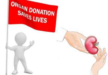 18 month old saves two becomes youngest deceased donor of the country