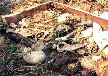 sacks containing skeletons found in bahraich