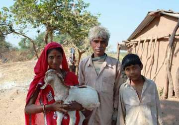 goats and more an anti poverty guide for narendra modi