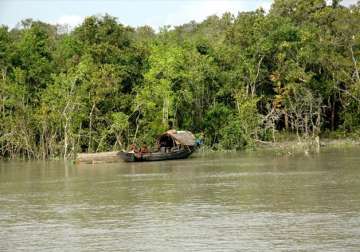 poachers turned conservationists in sunderbans