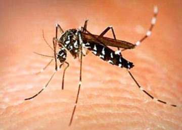 dengue claims its first victim in delhi this season