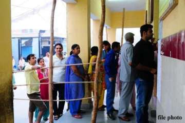 51 turnout in gujarat by polls lower in modi s vadodara seat