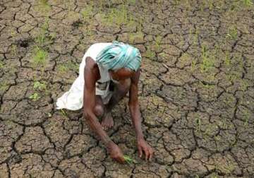 muslim organisations pledge help for drought hit farmers