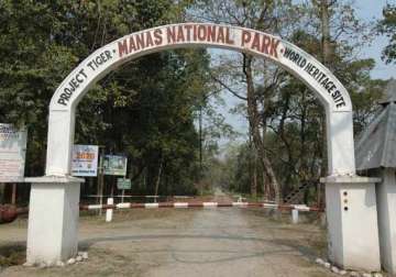 assam following ndfb s attack manas national park closed down