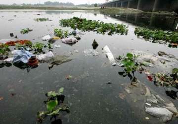 environmentalists welcome green court ruling on yamuna