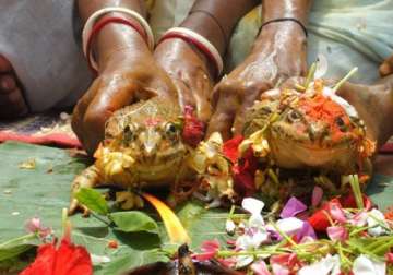 indian villagers hold frog wedding to bring rain