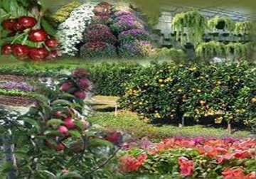 israel to train 26 indian horticulturists