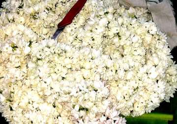 jasmine flower prices touch a high of rs 1 200 per kg