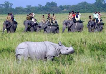 kaziranga orang national parks to open on thursday