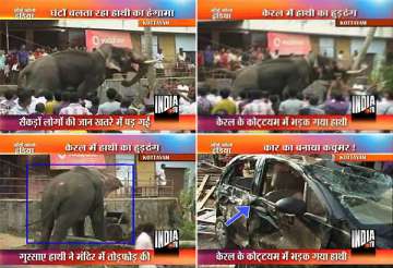 kerala aranmula temple elephant turns violent damages cars