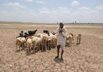 maharashtra drought nabard to combine its projects with rural plan