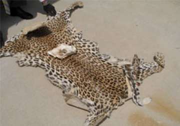 man held with leopard skins