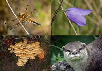 media must convince society about biodiversity say experts