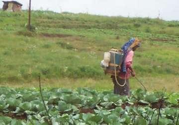 meghalaya to formulate plan to help farmers