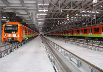 metro rail transplants chennai s grand old banyan tree