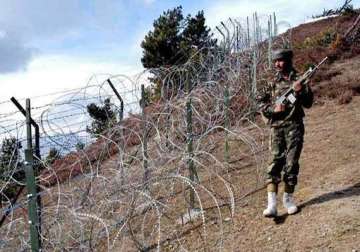 narcotics seized in bulk near indo pak border in 2012 bsf