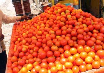 nepal says can supply tomatoes to india at competitive rates