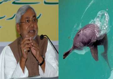 nitish wants to set up dolphin research centre in bihar