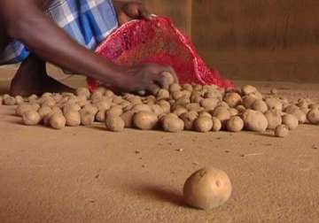 no potato crisis in odisha minister