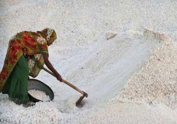 no salt shortage in bihar bengal meghalaya mizoram govt warns rumour mongers