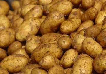 odisha to set up task force for preservation of potatoes