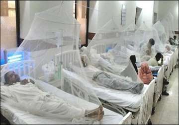 one dead 65 cases of dengue reported in j k