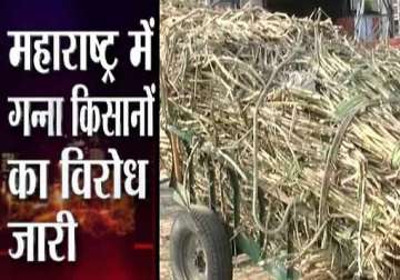 one killed in firing 20 buses attacked roadblocks as sugarcane farmers in maharashtra go on the rampage