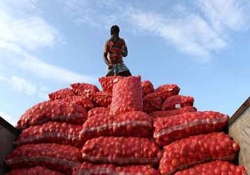 onion from afghanistan arrive to help contain prices