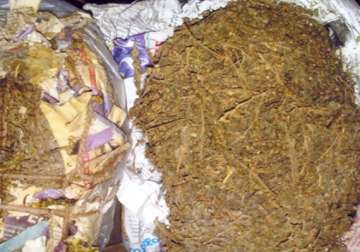 over 1 500 kg drugs seized in delhi two arrested