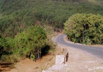 over 3 000 trees could be felled for road project in meghalaya