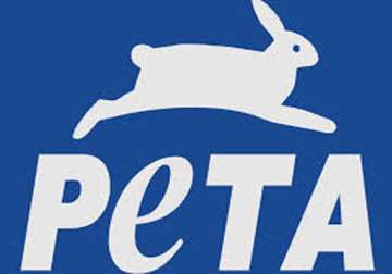 peta urges health ministry to ban sale of animal tested products