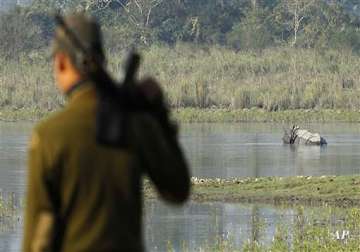 poachers killed 18 rhinos in kaziranga sanctuary in 2012