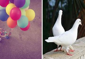 political activists send love balloons and white pigeons on v day towards pakistan
