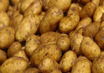 potato crisis continues 80 trucks cross into odisha