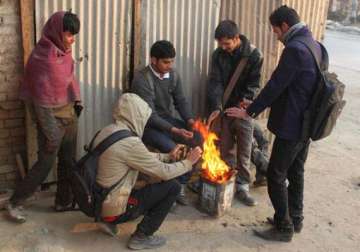 punjab haryana continue to reel under cold conditions