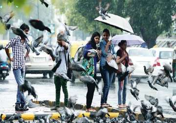 rains lash delhi friday more in store saturday