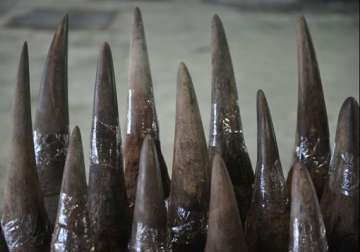 rhino horns seized from kolkata