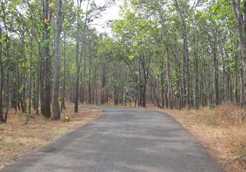 road built on forest land in chhattisgarh claims congress