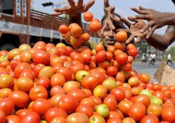 robbers escape with 75 kg tomatoes in rajasthan