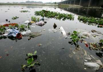 sc expresses anguish over tardy progress on cleaning yamuna