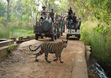 sc lifts ban on tourism in core tiger reserve areas
